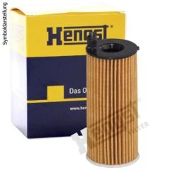 HENGST FILTER Ölfilter (E362H D313)