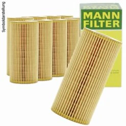 10x MANN ÖLFILTER (A9000010MANN)