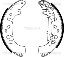 TRISCAN Bremsbackensatz (8100 10012)