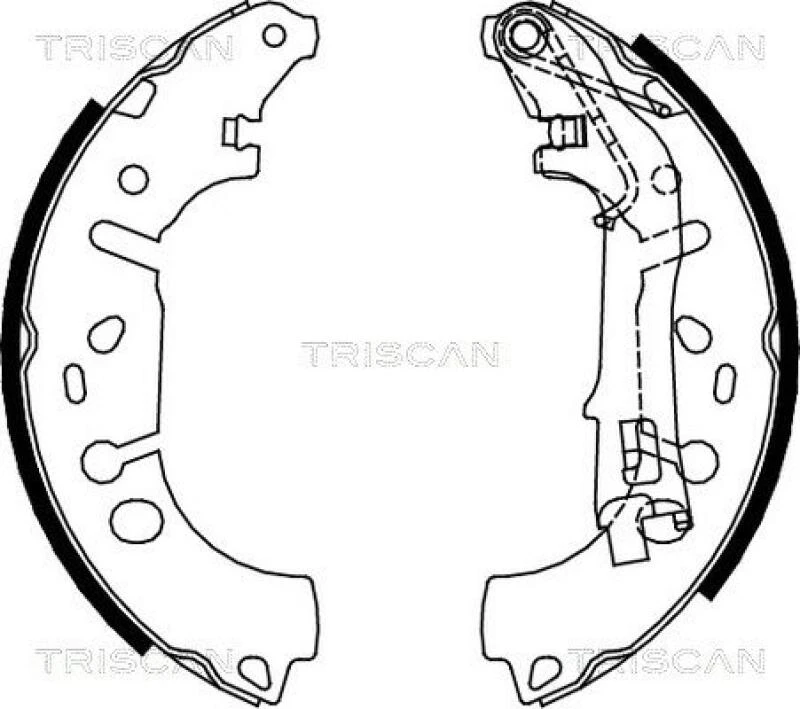 TRISCAN Bremsbackensatz (8100 10012)