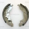 TRISCAN Bremsbackensatz (8100 15013)